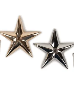 Davey & Company LTD Bronze Good Fortune Star