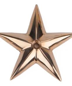 Davey & Company LTD Bronze Good Fortune Star